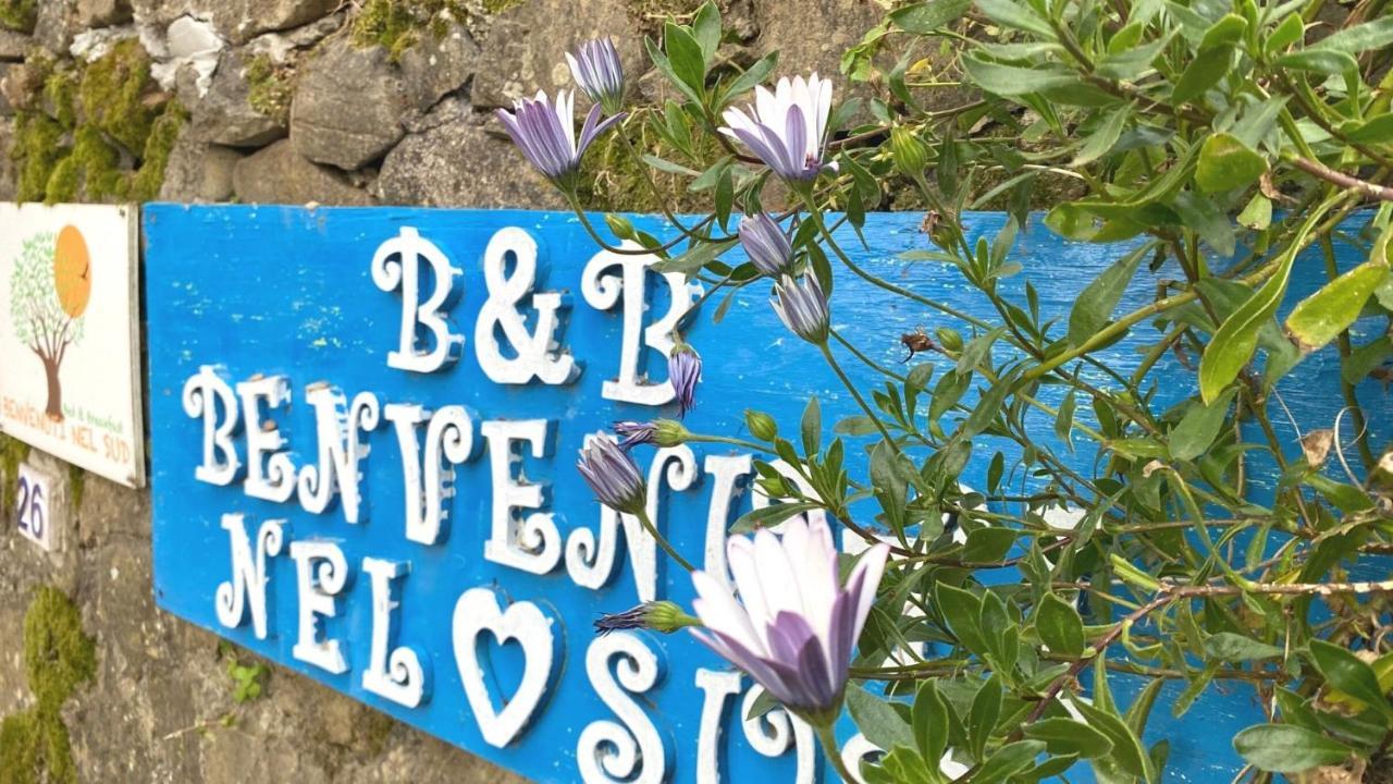 Benvenuti Nel Sud Bed & Breakfast Sessa Cilento Exterior photo