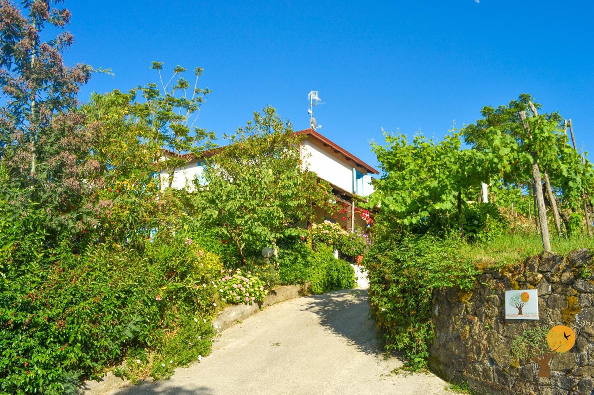 Benvenuti Nel Sud Bed & Breakfast Sessa Cilento Exterior photo