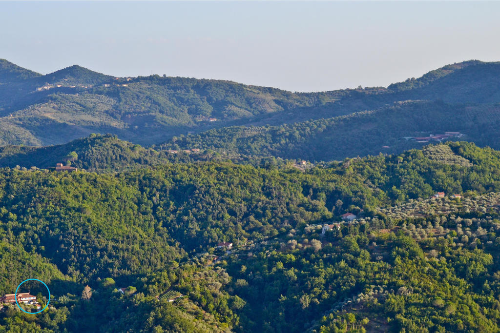 Benvenuti Nel Sud Bed & Breakfast Sessa Cilento Exterior photo