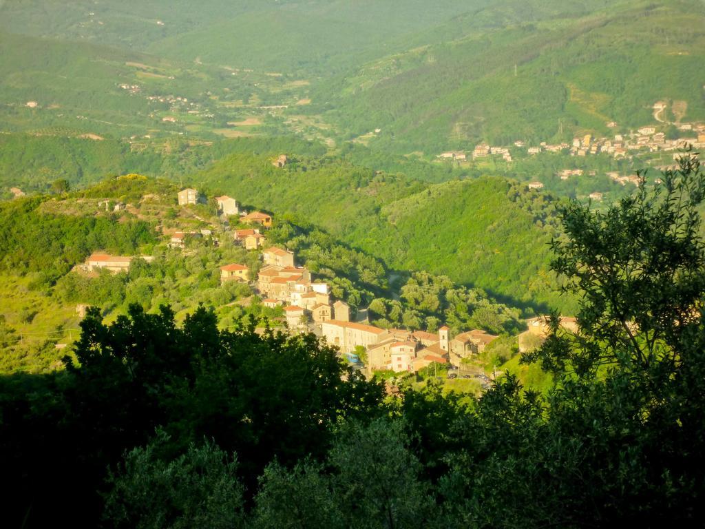 Benvenuti Nel Sud Bed & Breakfast Sessa Cilento Exterior photo