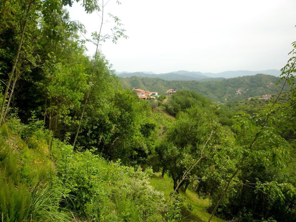 Benvenuti Nel Sud Bed & Breakfast Sessa Cilento Exterior photo