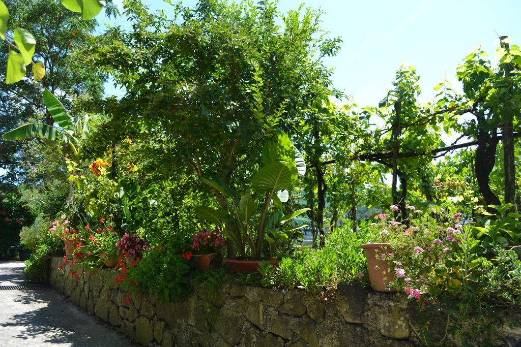 Benvenuti Nel Sud Bed & Breakfast Sessa Cilento Exterior photo