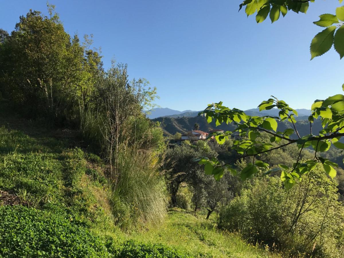 Benvenuti Nel Sud Bed & Breakfast Sessa Cilento Exterior photo