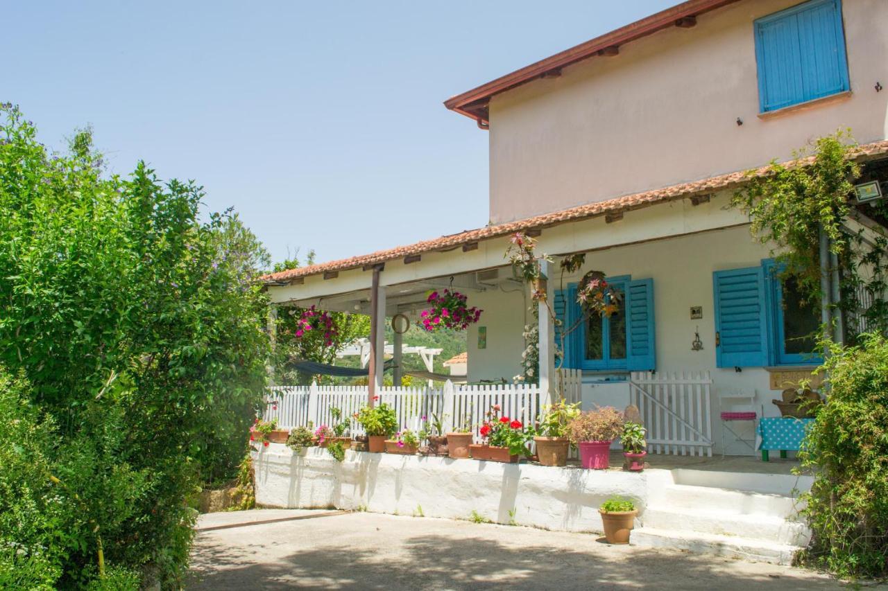 Benvenuti Nel Sud Bed & Breakfast Sessa Cilento Exterior photo